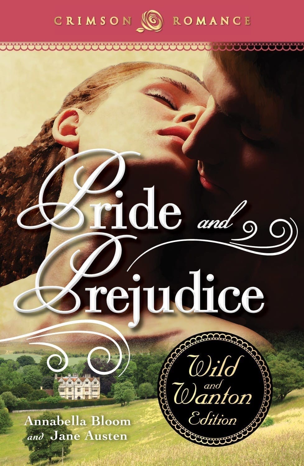Pride and Prejudice Wild and Wanton Book Cover