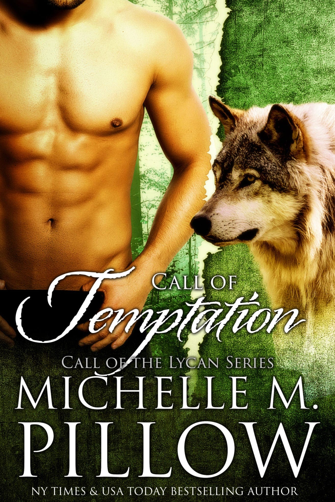Call of Temptation Book Cover