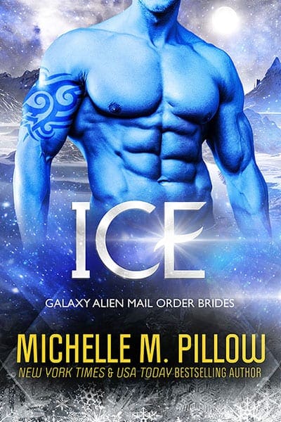 Ice Book Cover